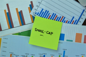 What Are Small Cap Funds